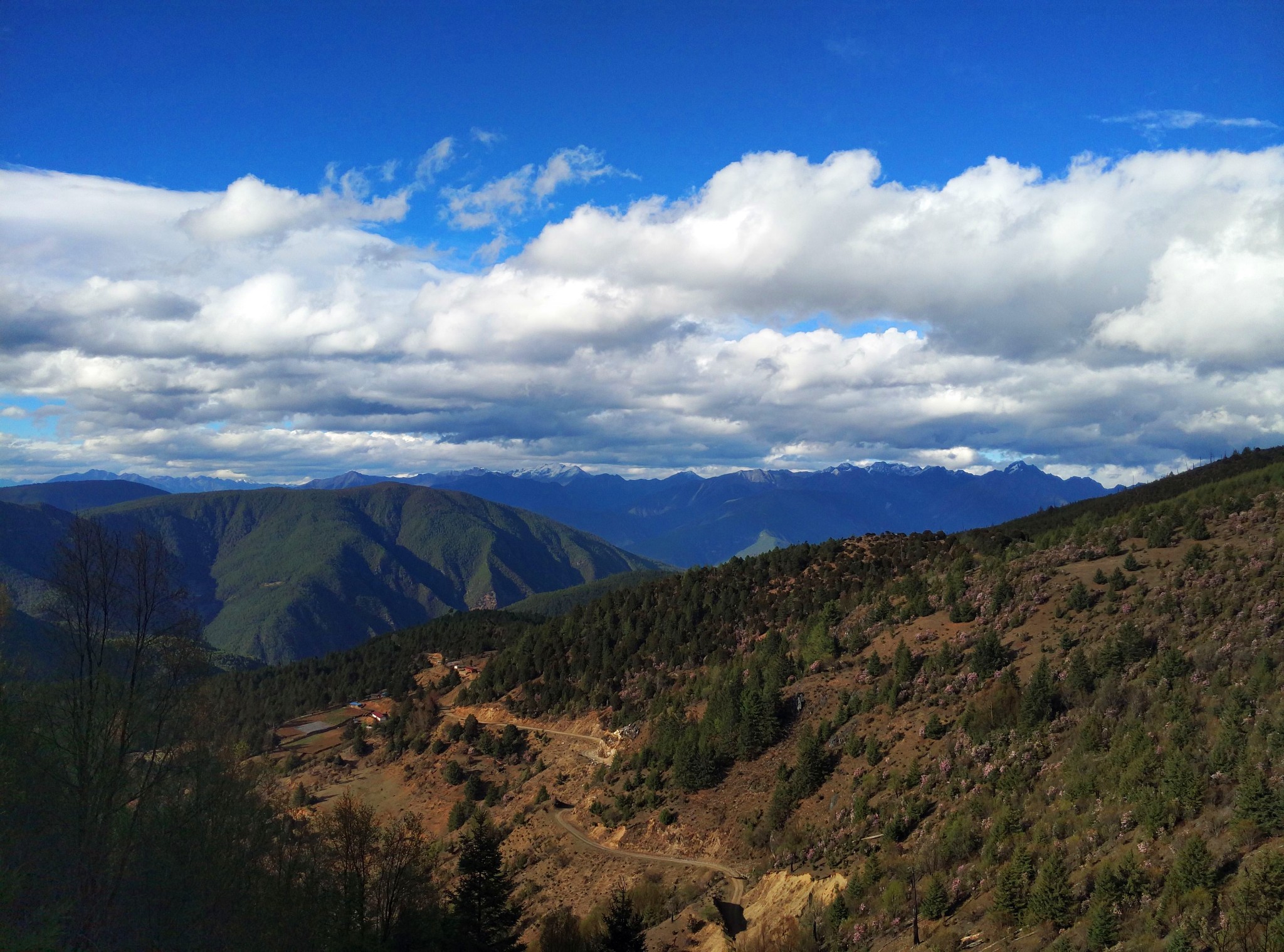 川滇藏行記---秘境木裡,四川旅遊攻略 - 馬蜂窩