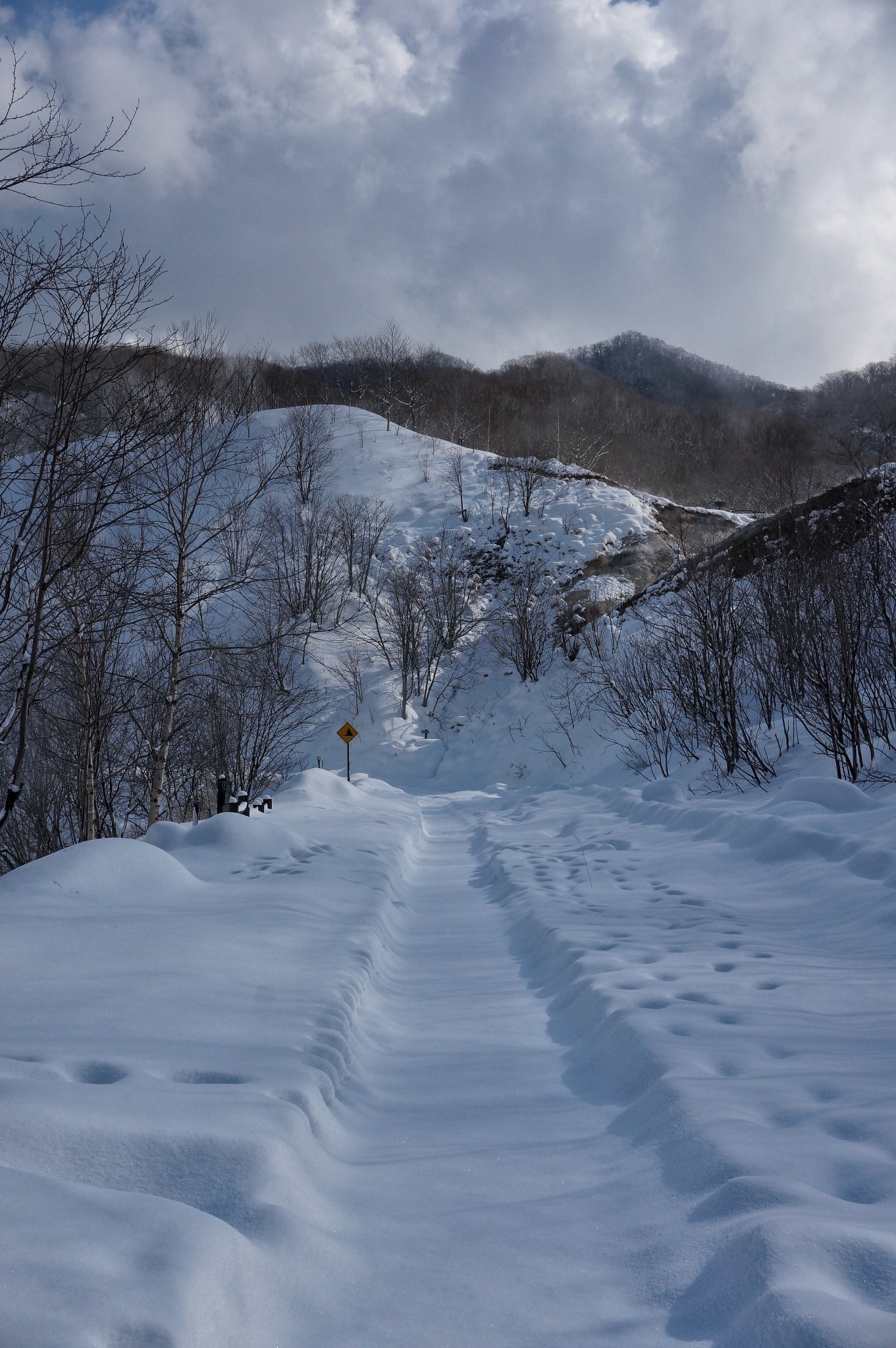 北海道自助遊攻略