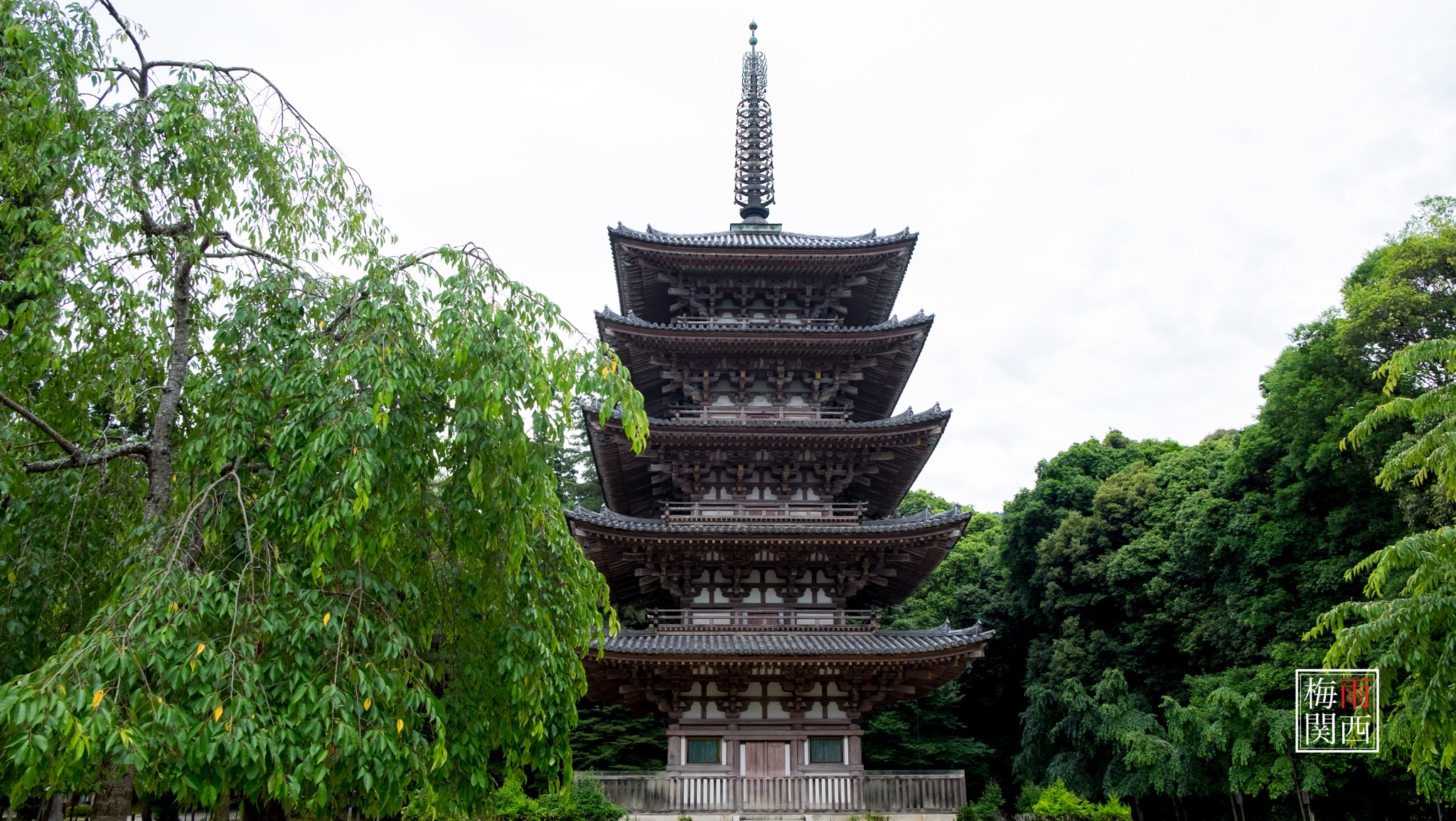 京都自助遊攻略