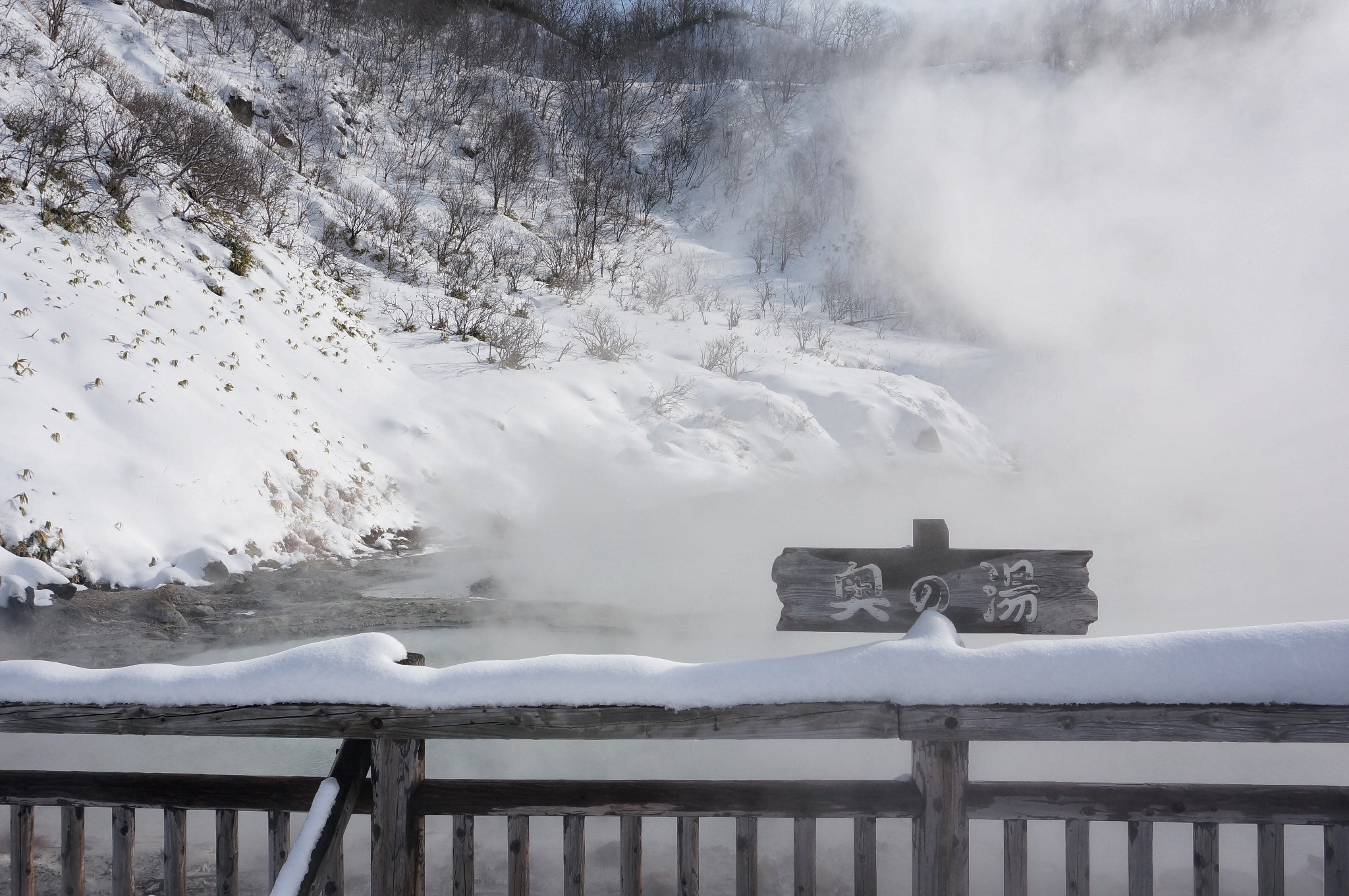 北海道自助遊攻略