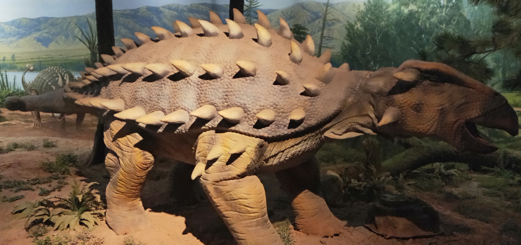 大同博物馆(三):魏晋以前的大同