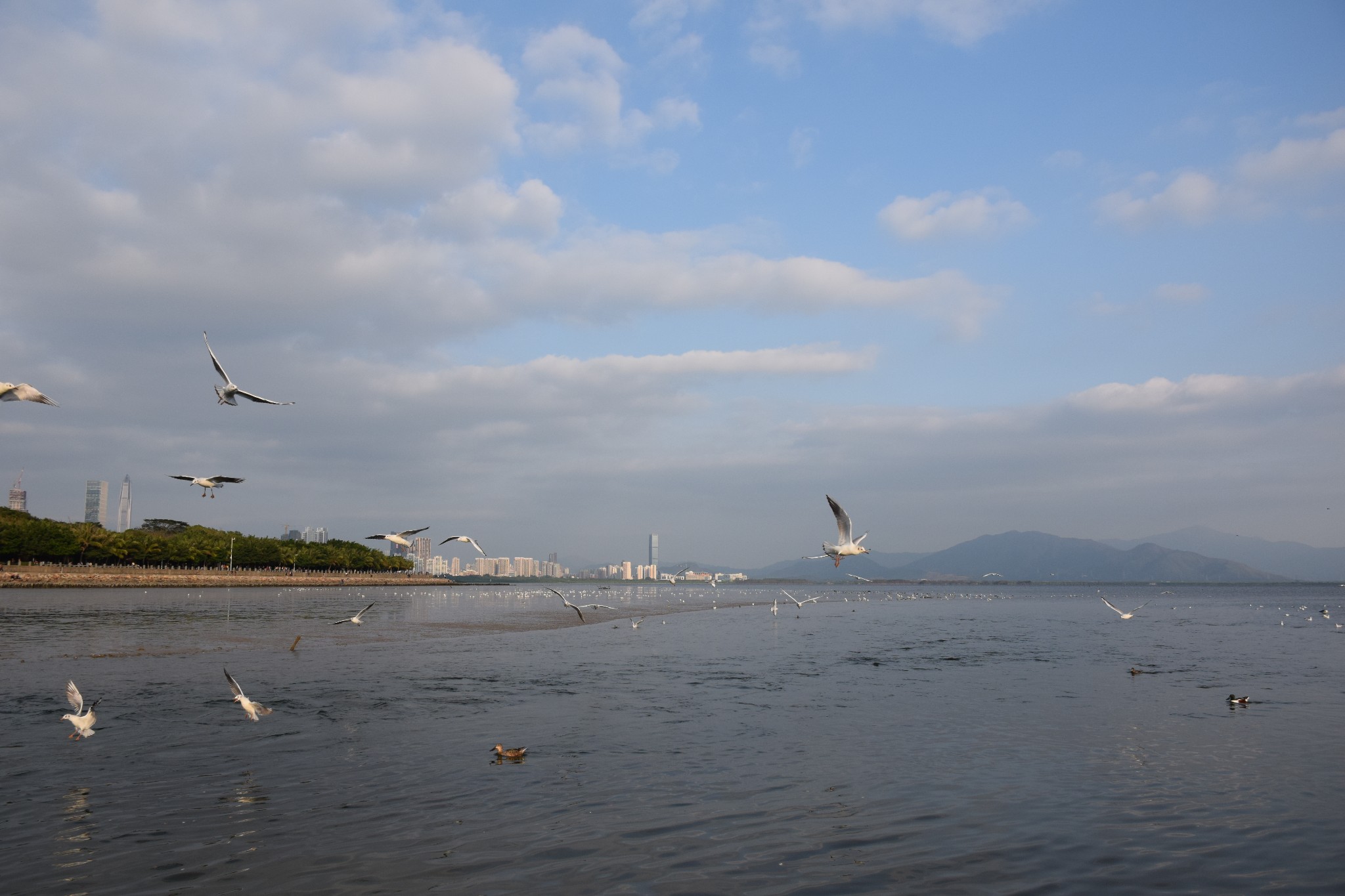 深圳月亮灣公園遊記, 月亮灣公園旅遊攻略, 月亮灣公園自助遊遊記