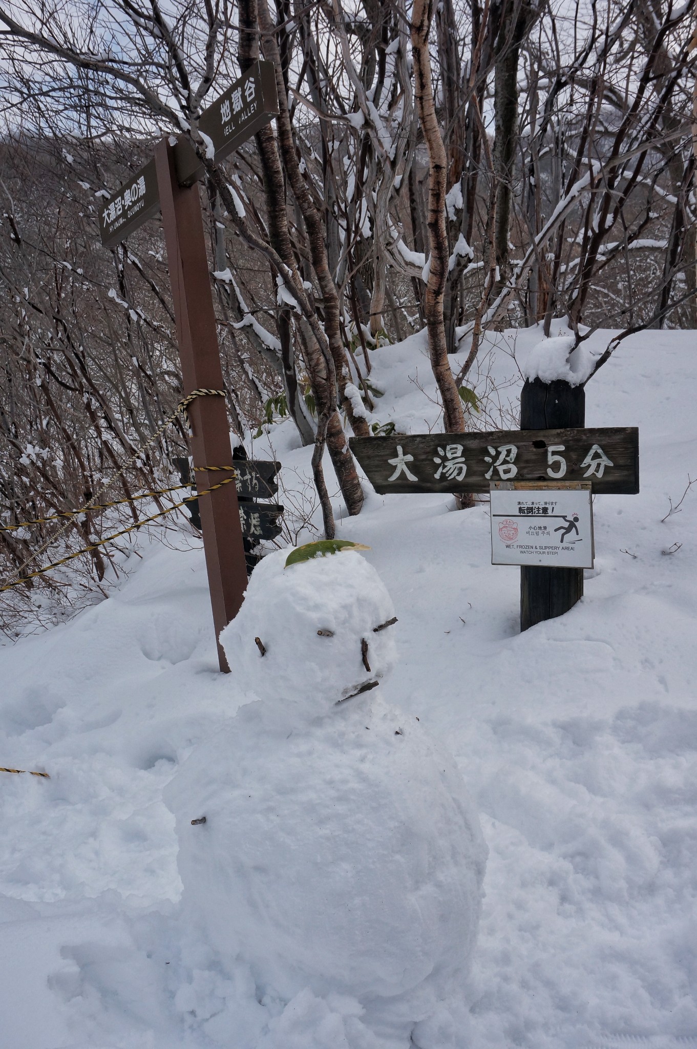 北海道自助遊攻略