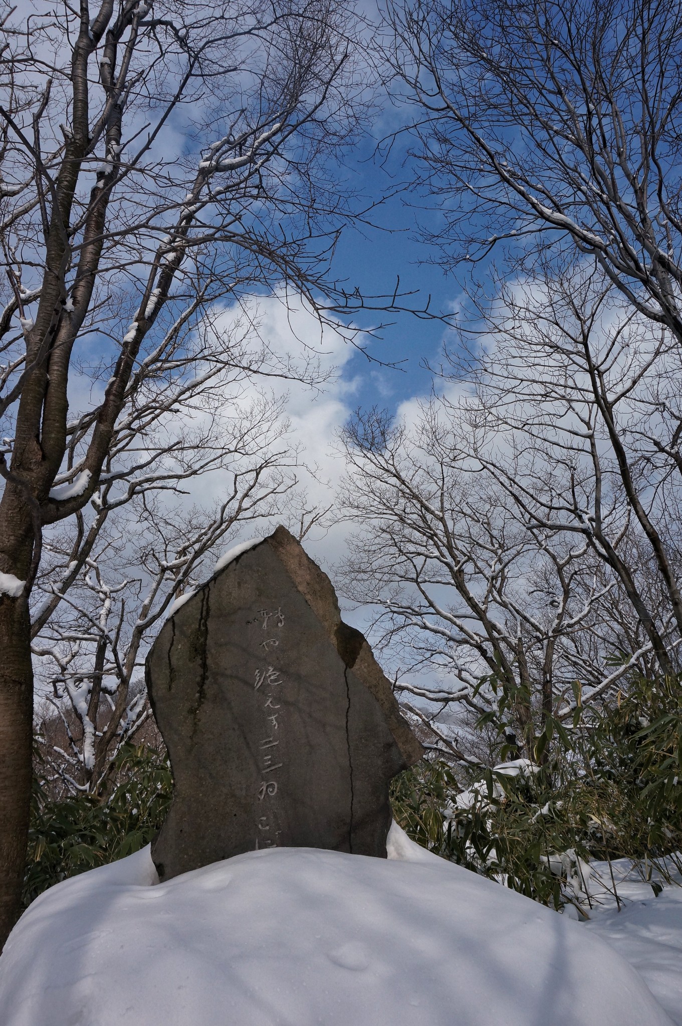 北海道自助遊攻略