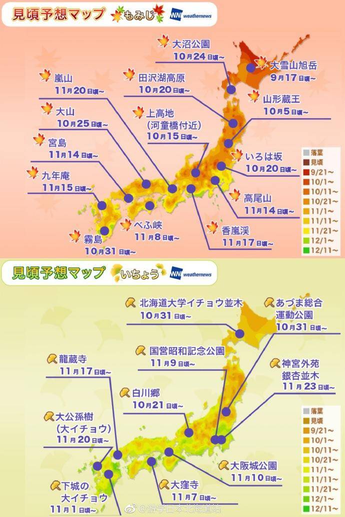 日本の秋 再游倾心 关西秋色染琉璃 天鹅之旅