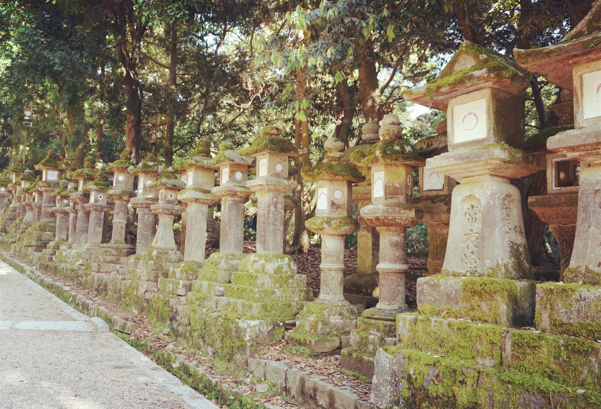 京都自助遊攻略