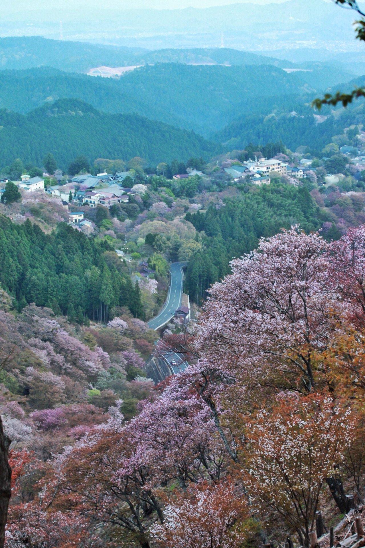 花矢倉展望台攻略 花矢倉展望台门票 地址 花矢倉展望台景点攻略 马蜂窝