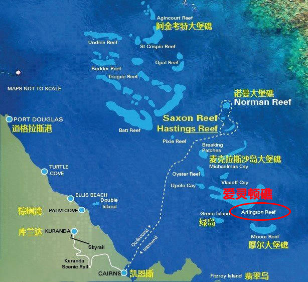 在爱灵礁寻觅一场海洋奇缘,一个全新的大堡礁平台!