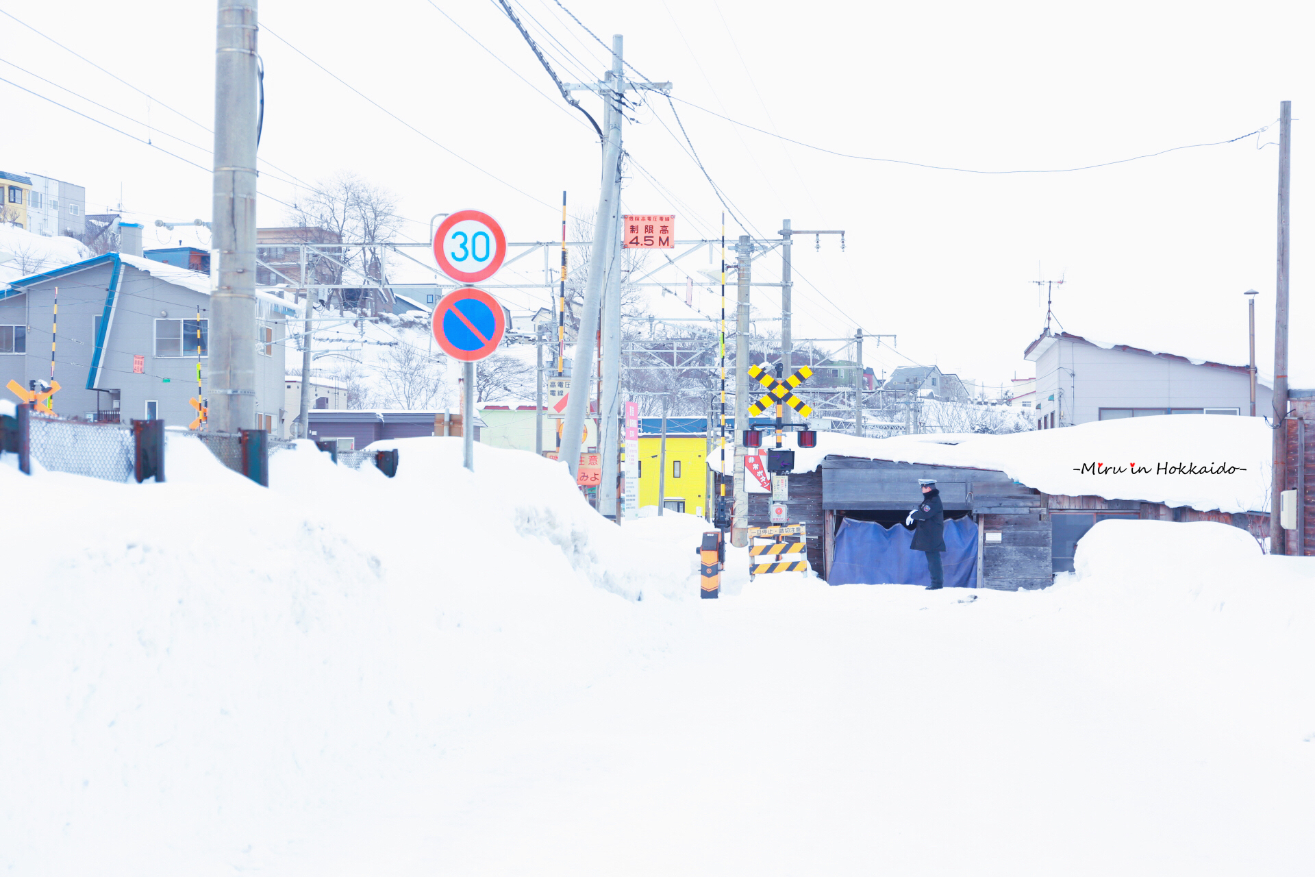 北海道自助遊攻略