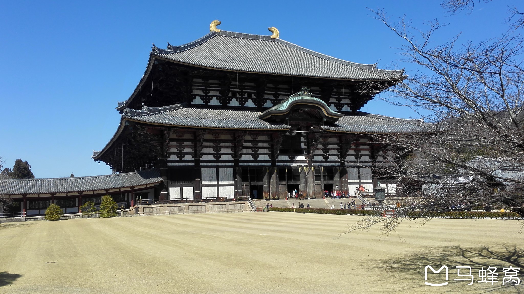 札幌自助遊攻略