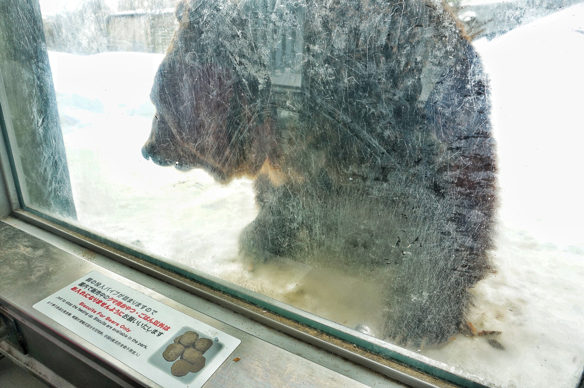 北海道自助遊攻略