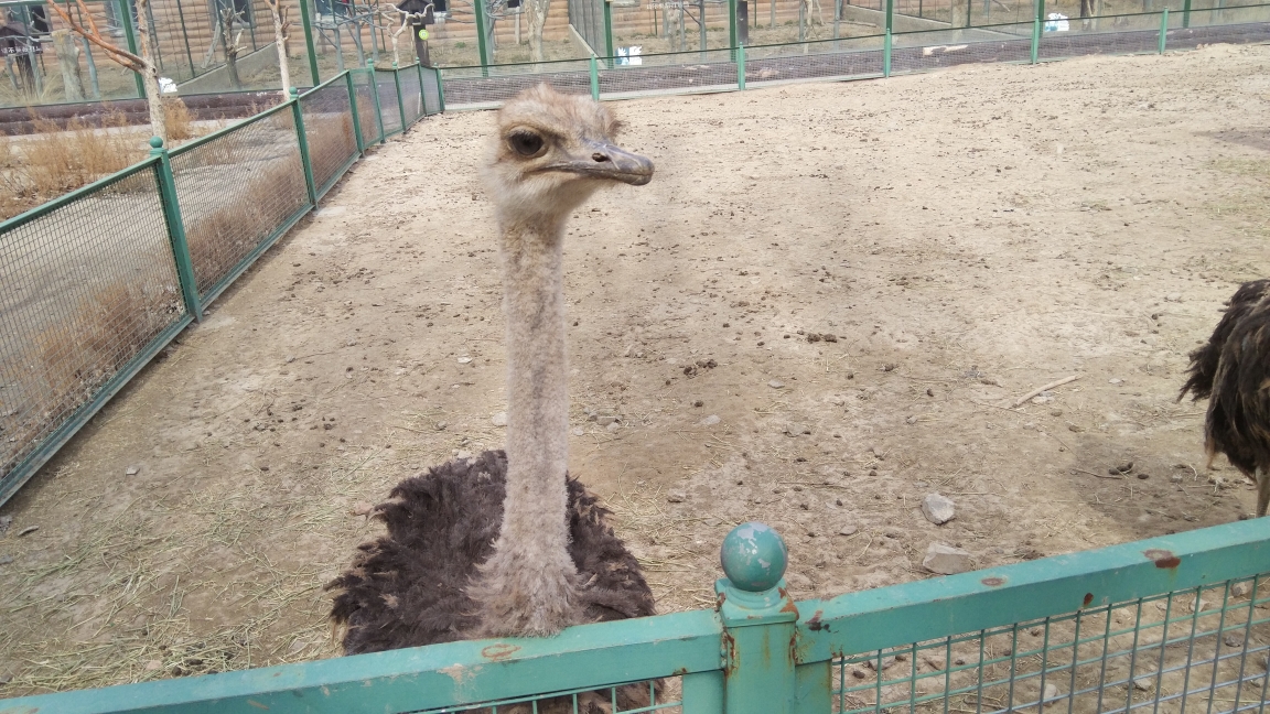 天山野生動物園一日遊,新疆旅遊攻略 - 馬蜂窩