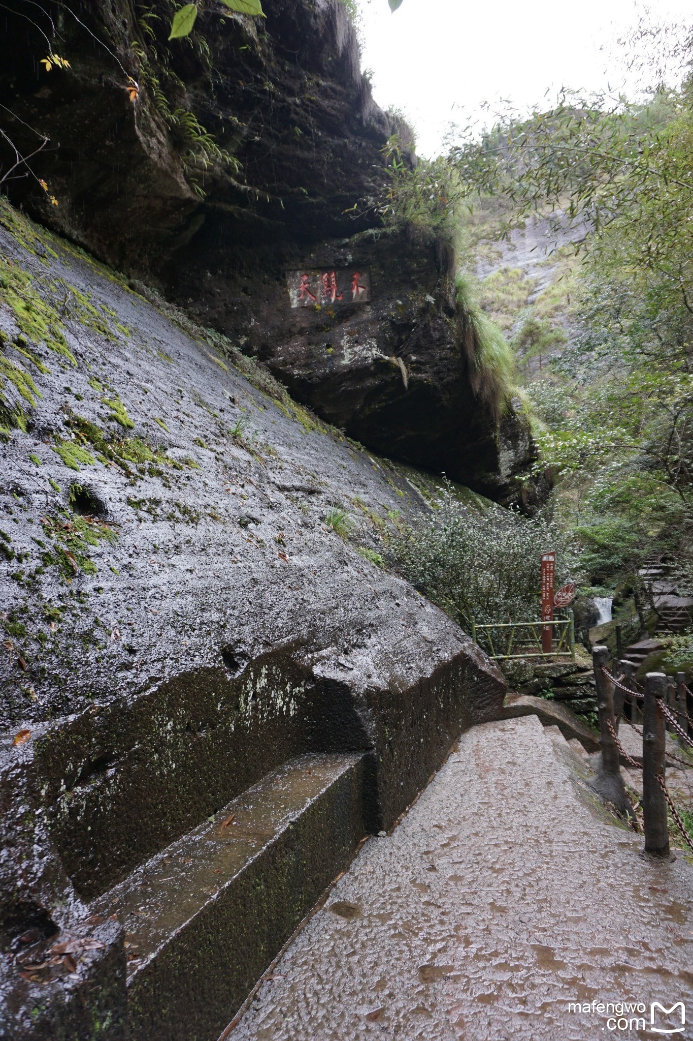 武夷山自助遊攻略