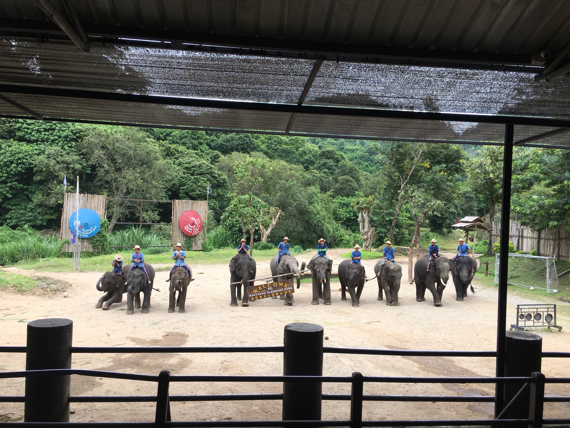 清邁自助遊攻略