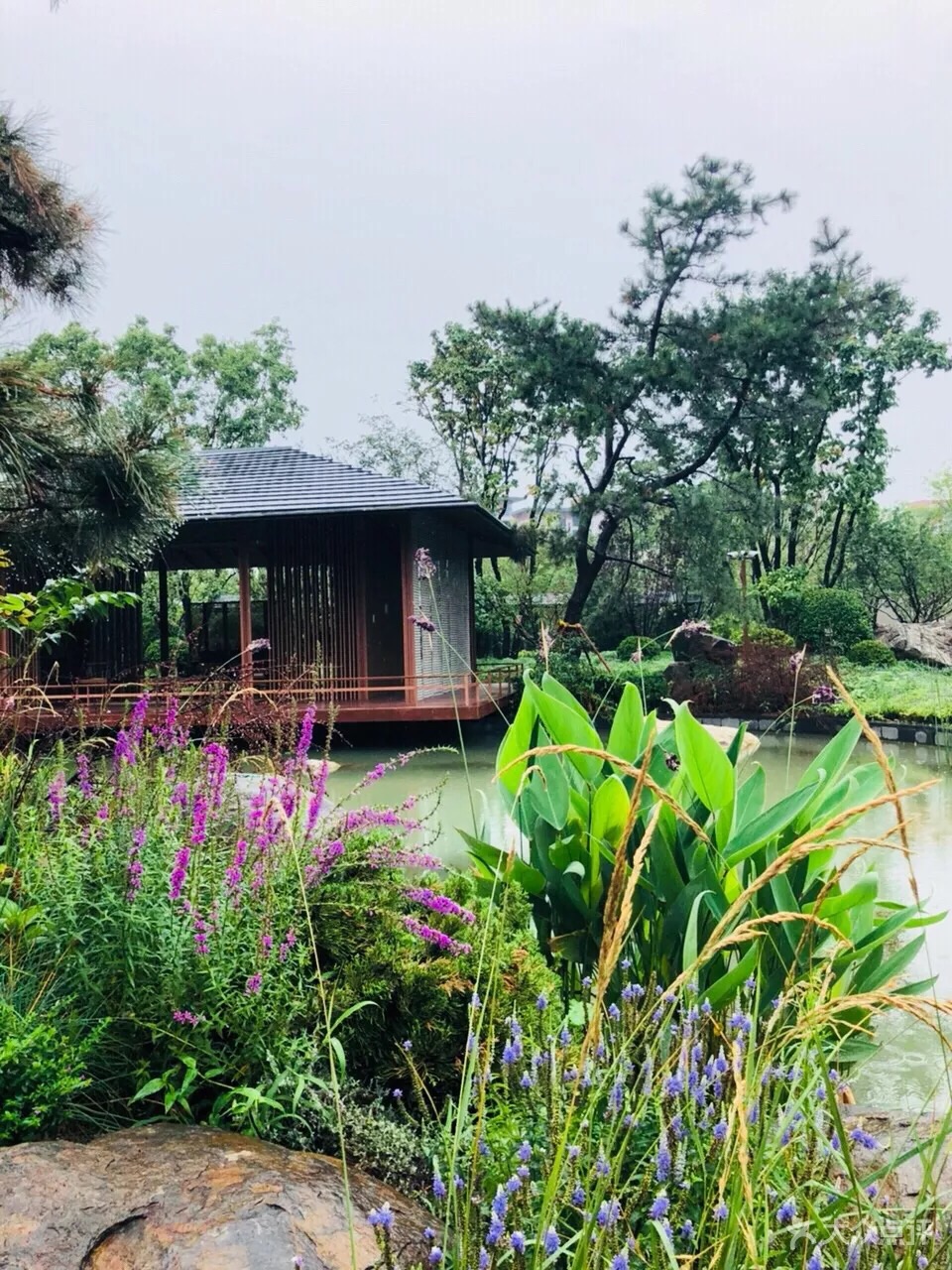 鹿鸣公园雨天北京好去处