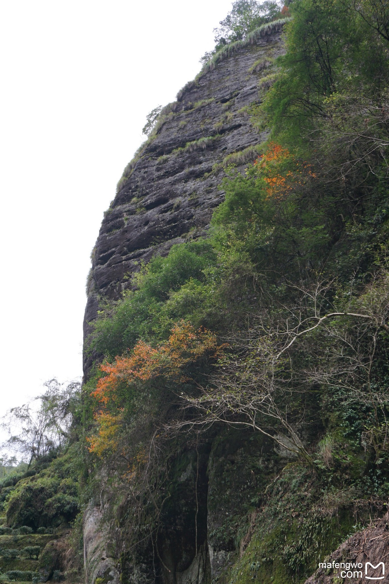 武夷山自助遊攻略