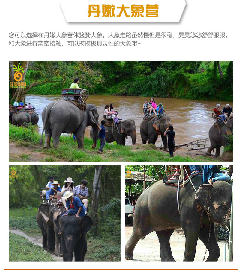 曼谷海鲜市场 自选新鲜海鲜加工 美攻铁道市场 丹嫩沙多骑大象 安帕洼