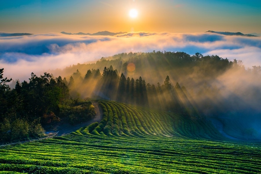 双世遗武夷山:私藏已久,3分钟了解这座北纬28°的城