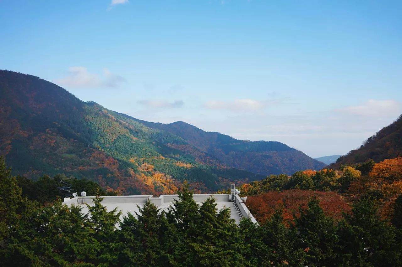 冬日在山里泡汤 我只想去箱根 马蜂窝