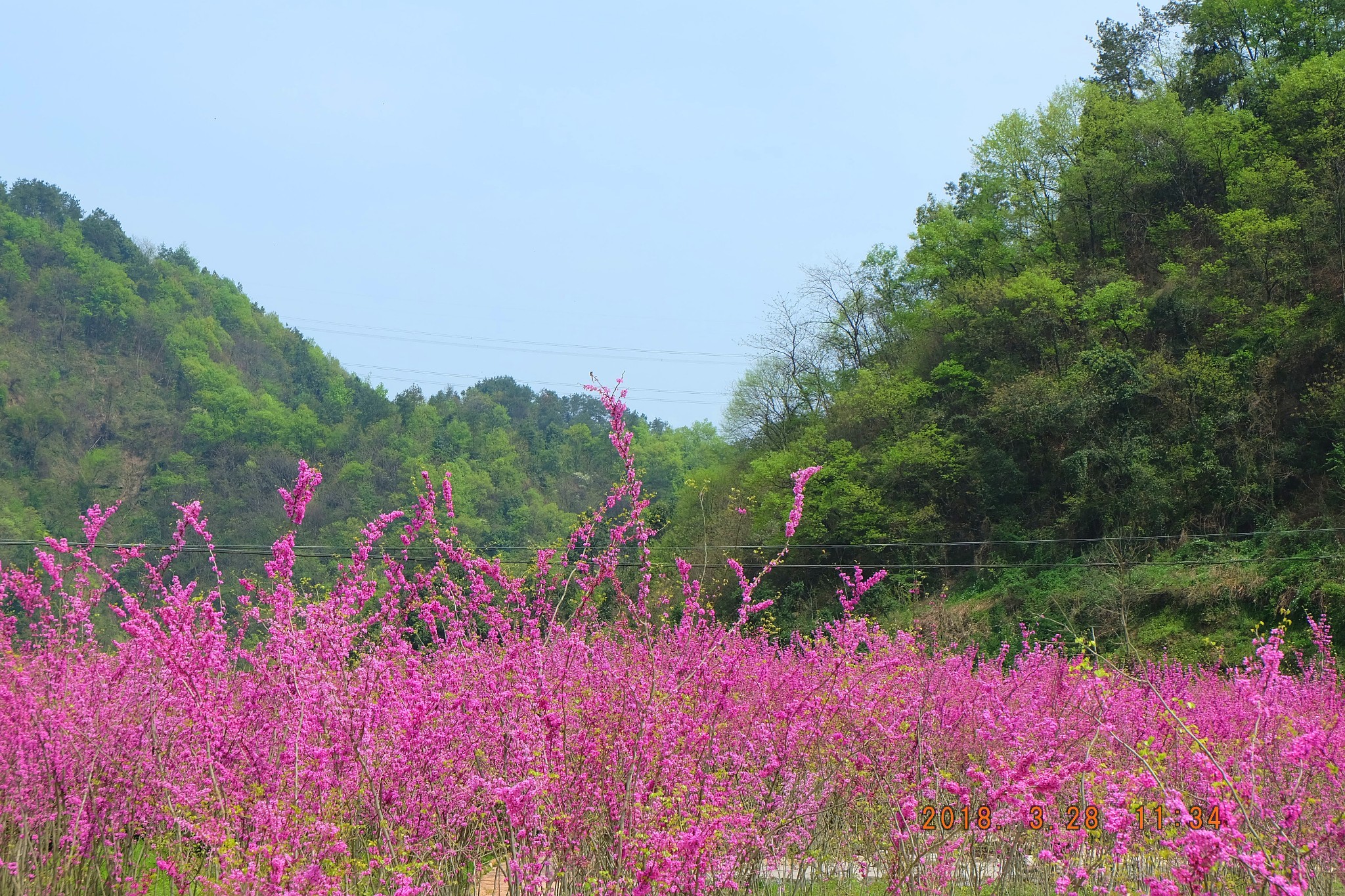 三峡九凤谷景区介绍图片