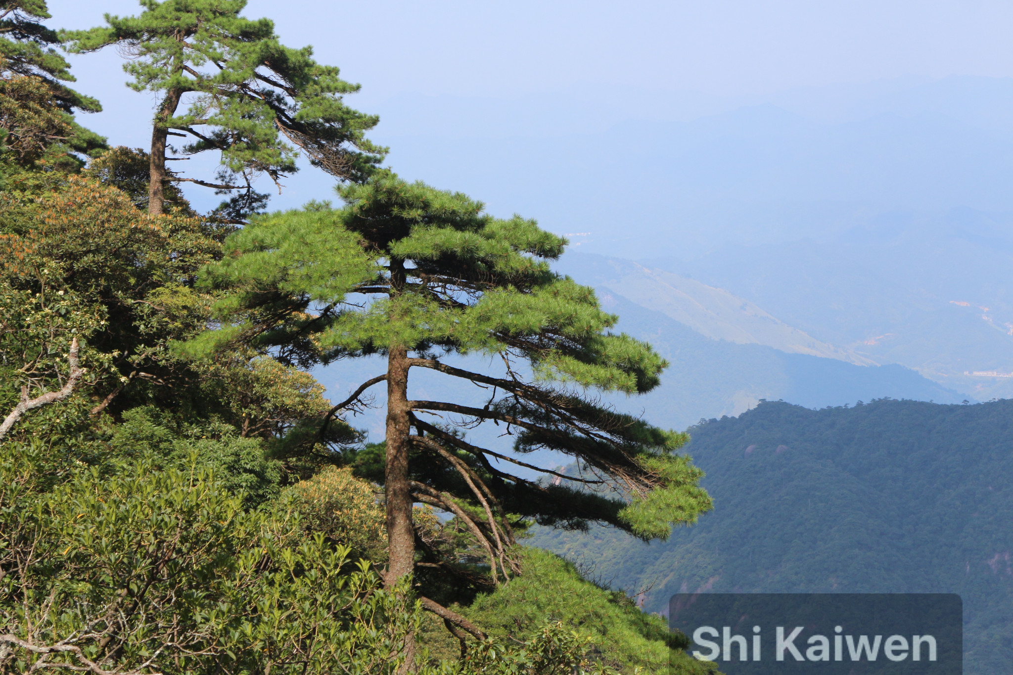 三清山自助遊攻略