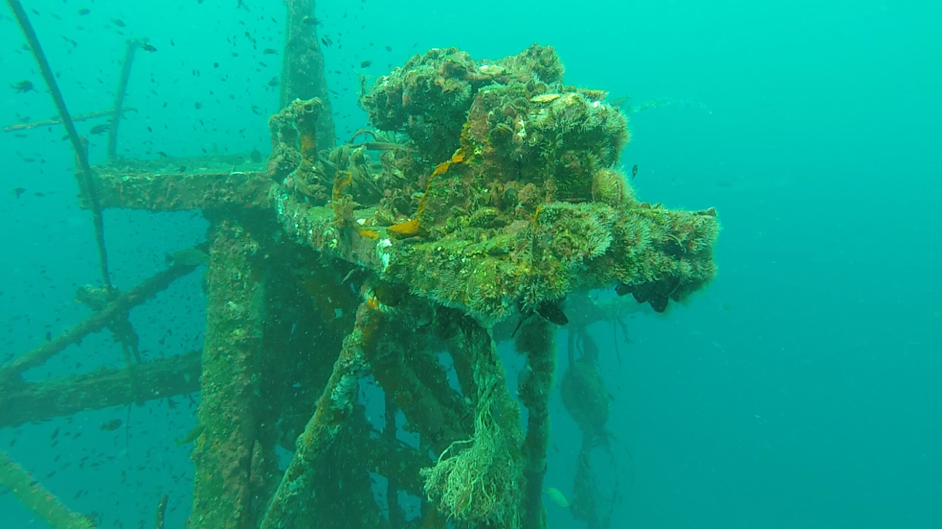 象島自助遊攻略