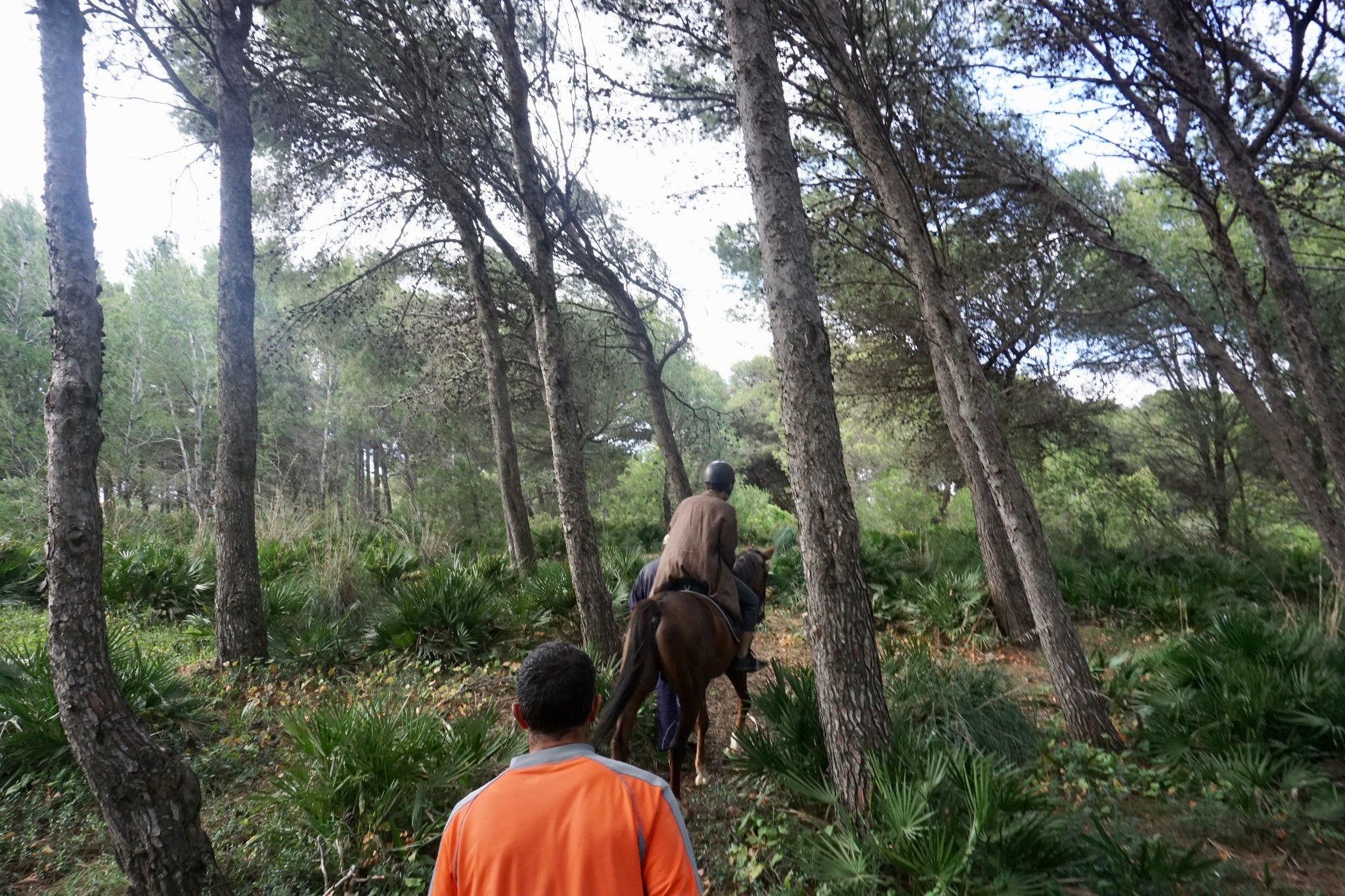 摩洛哥自助遊攻略