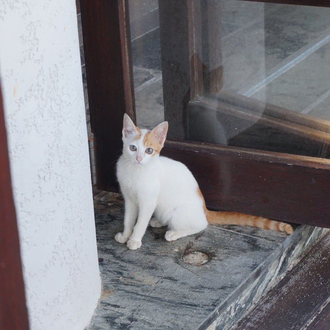 我们把爱带到了美丽的塞舌尔