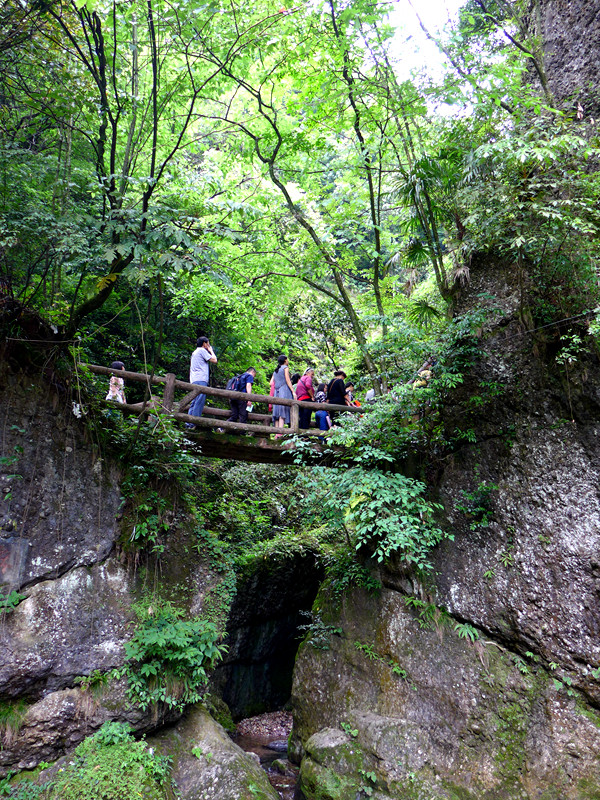 青城山游记图片  原始图片 所有游记图片 44/66 青城后山 ·青城后山