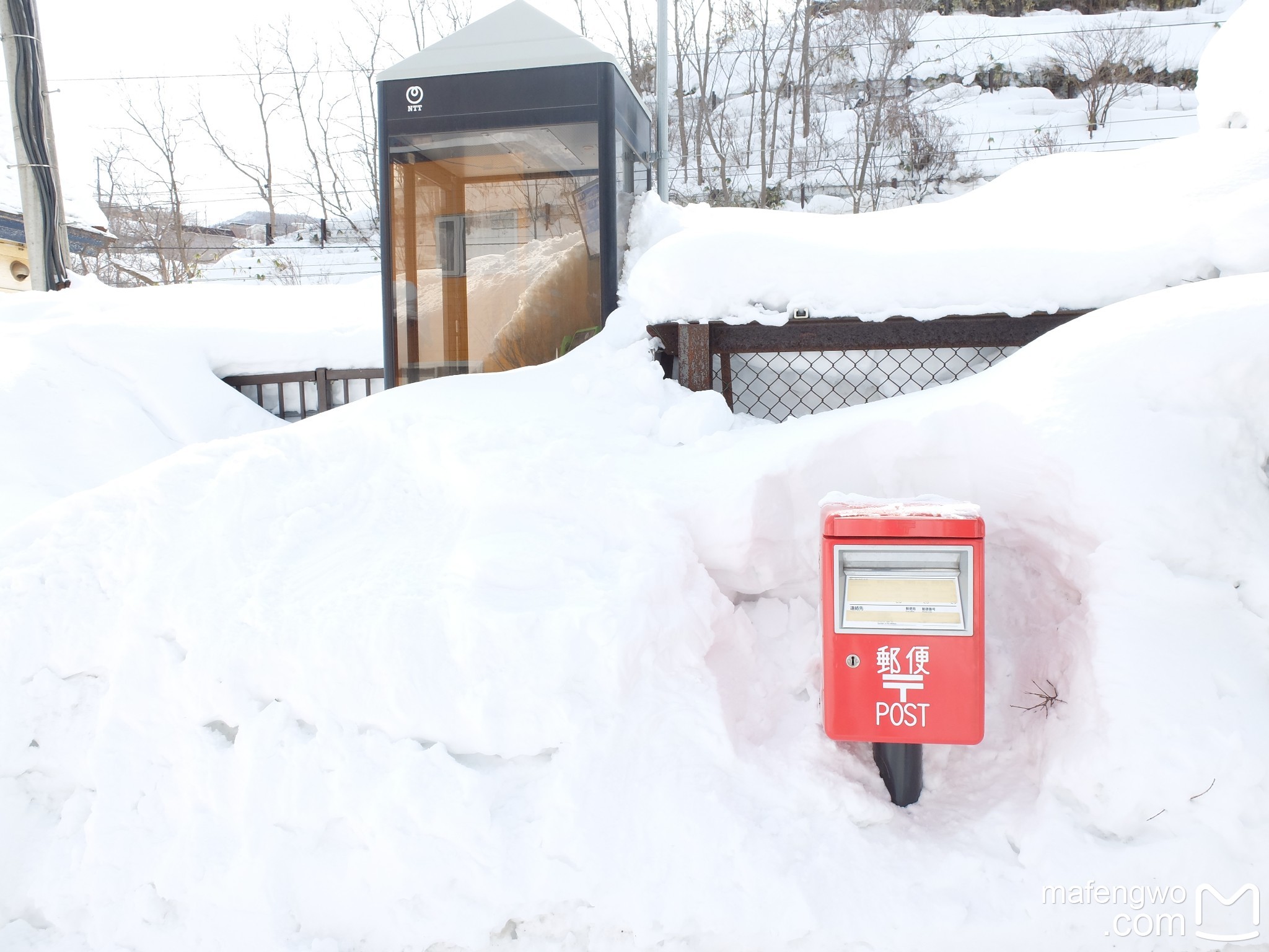 北海道自助遊攻略