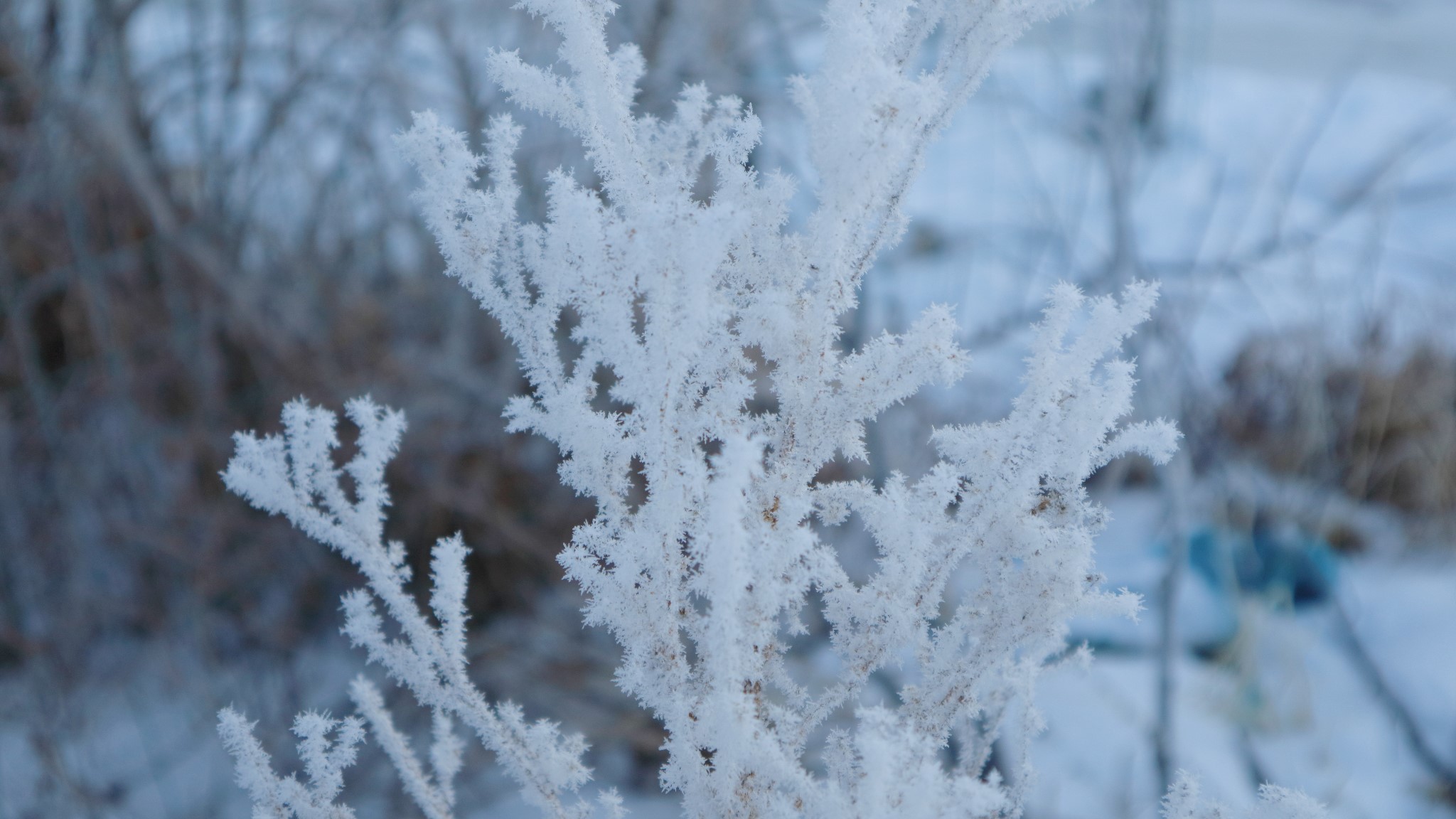 雪鄉自助遊攻略