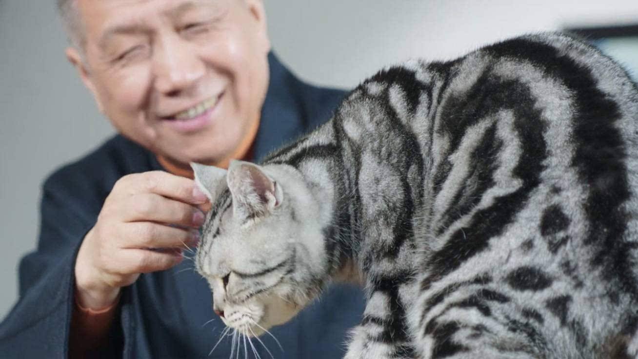         图为马未都先生和他的猫