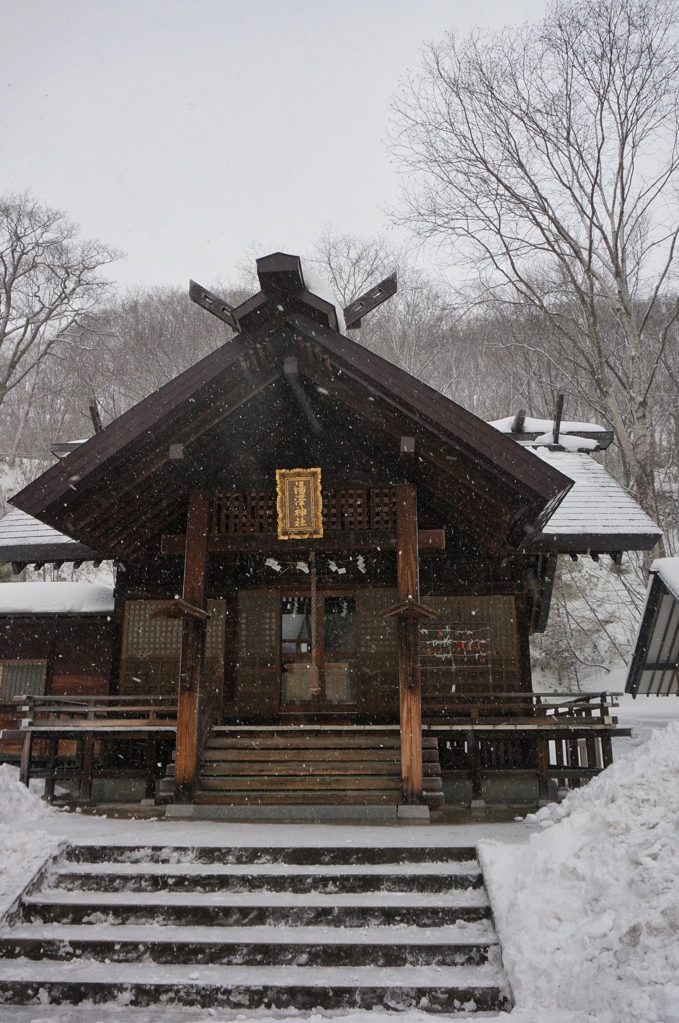 北海道自助遊攻略