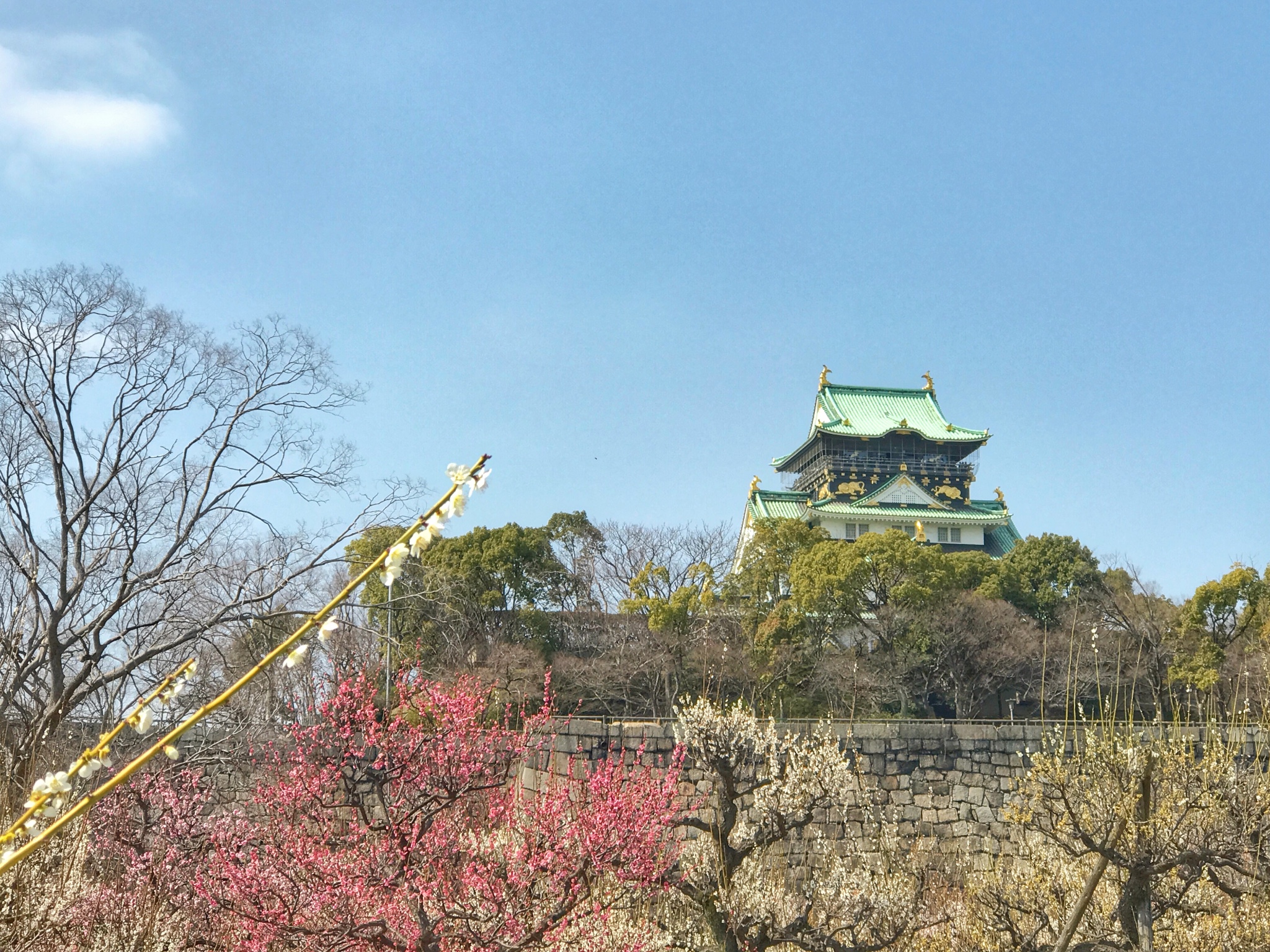 大阪自助遊攻略