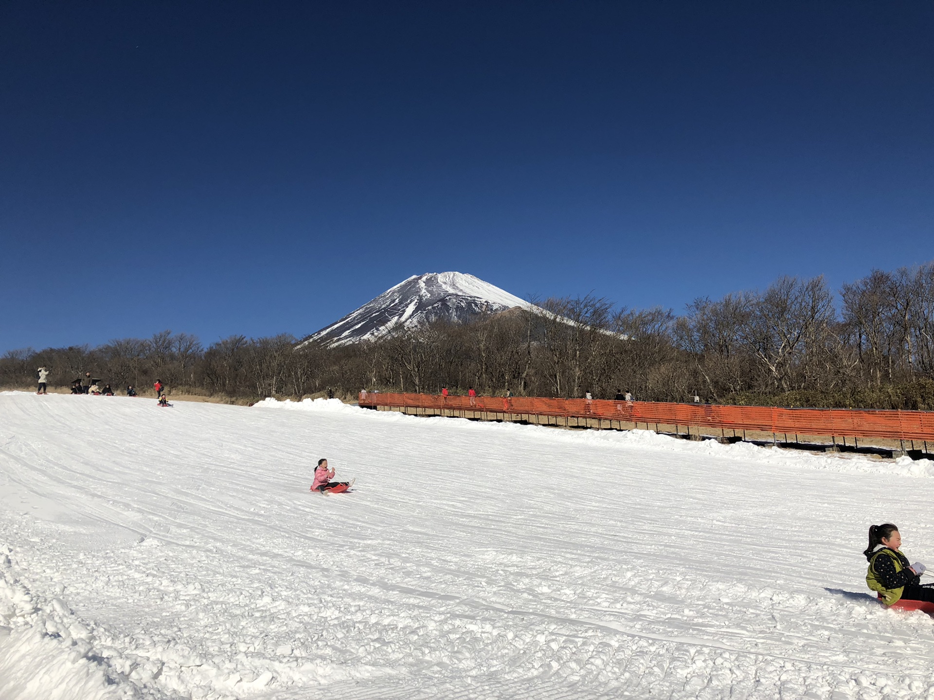 北海道自助遊攻略