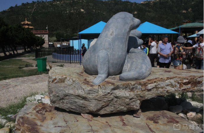 月牙湾海豹苑旅游图片,月牙湾海豹苑自助游图片,月牙湾海豹苑旅游景点