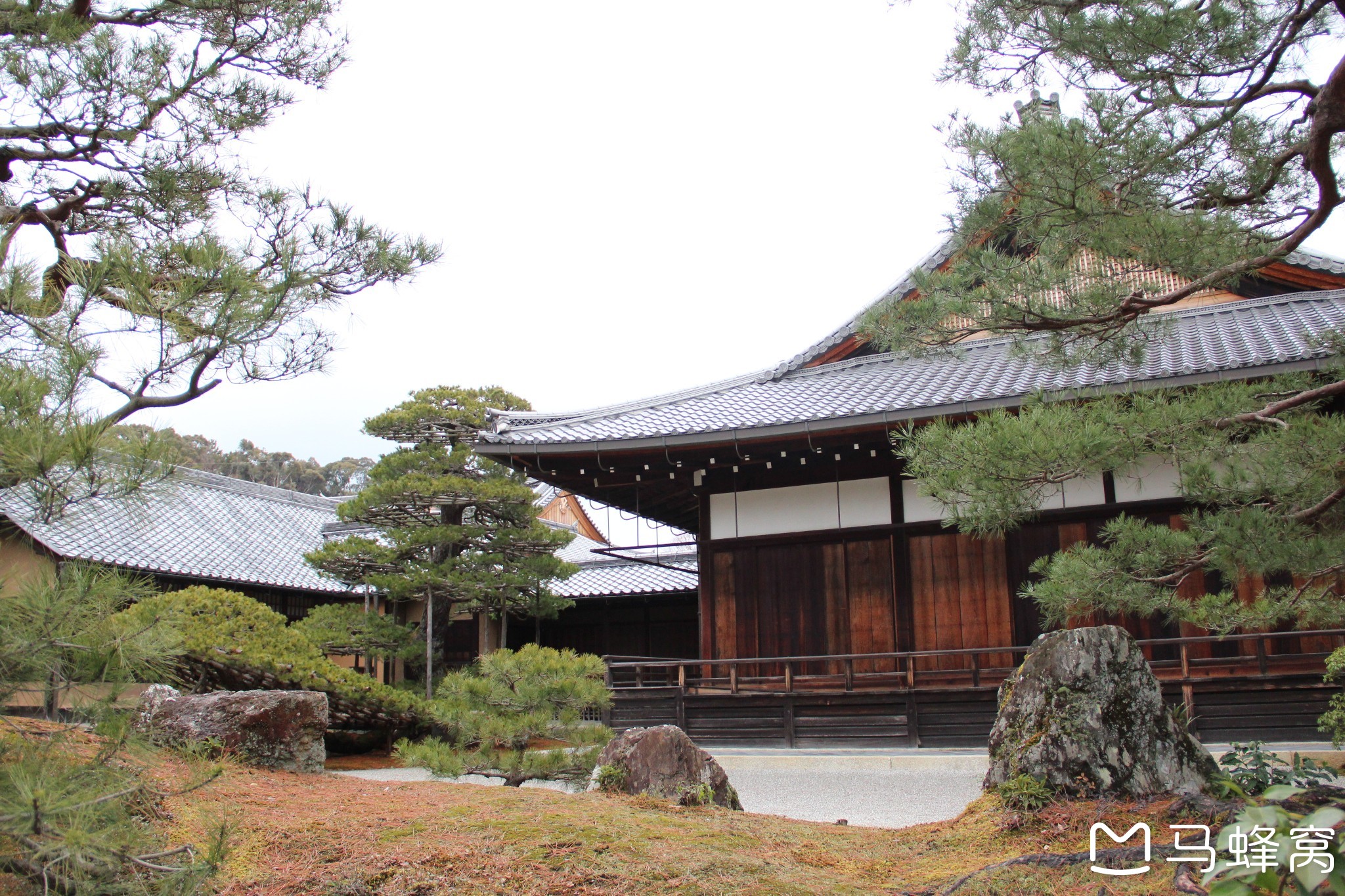 京都自助遊攻略