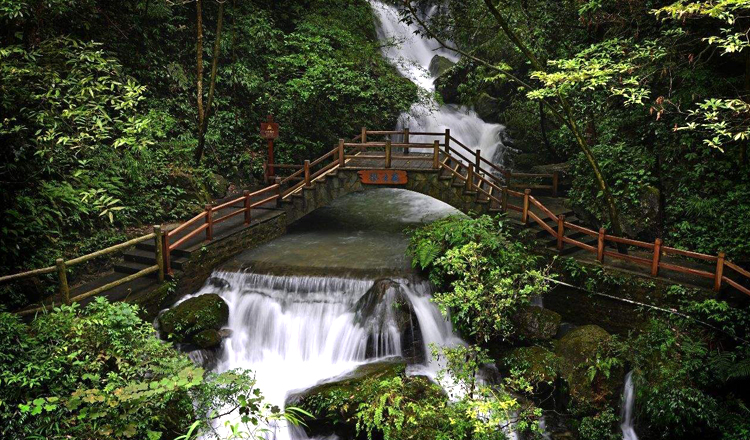 重慶避暑必去萬盛黑山谷旅遊攻略