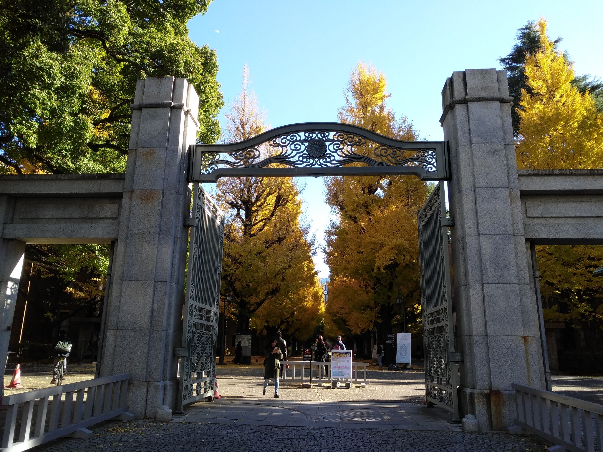 京都自助遊攻略