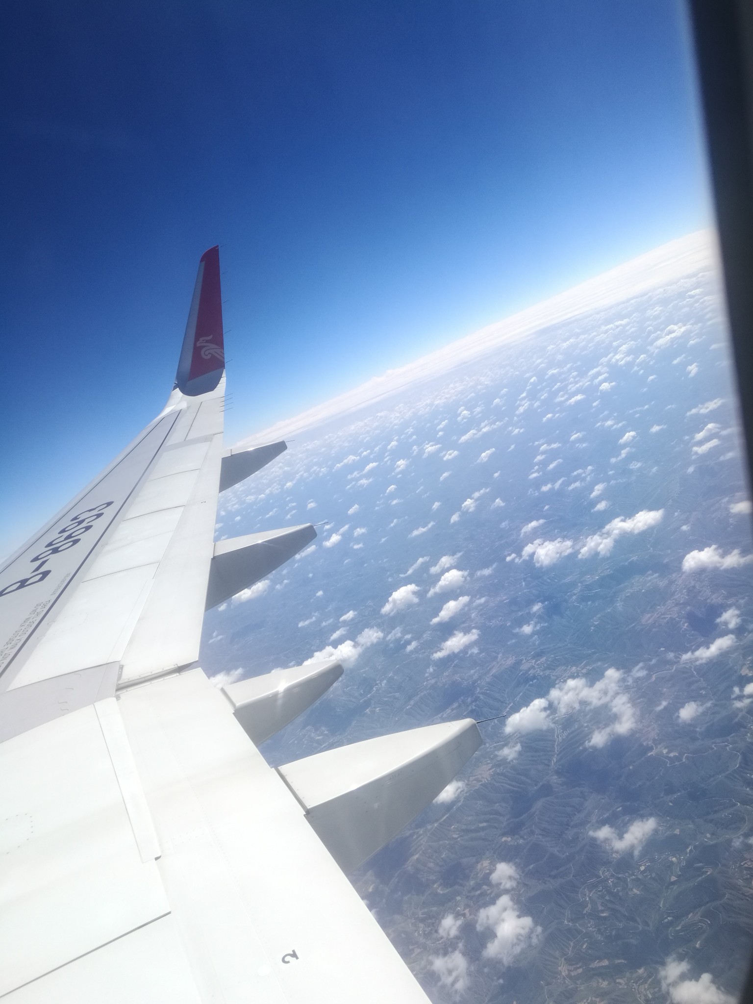 青铜峡鸟岛游记