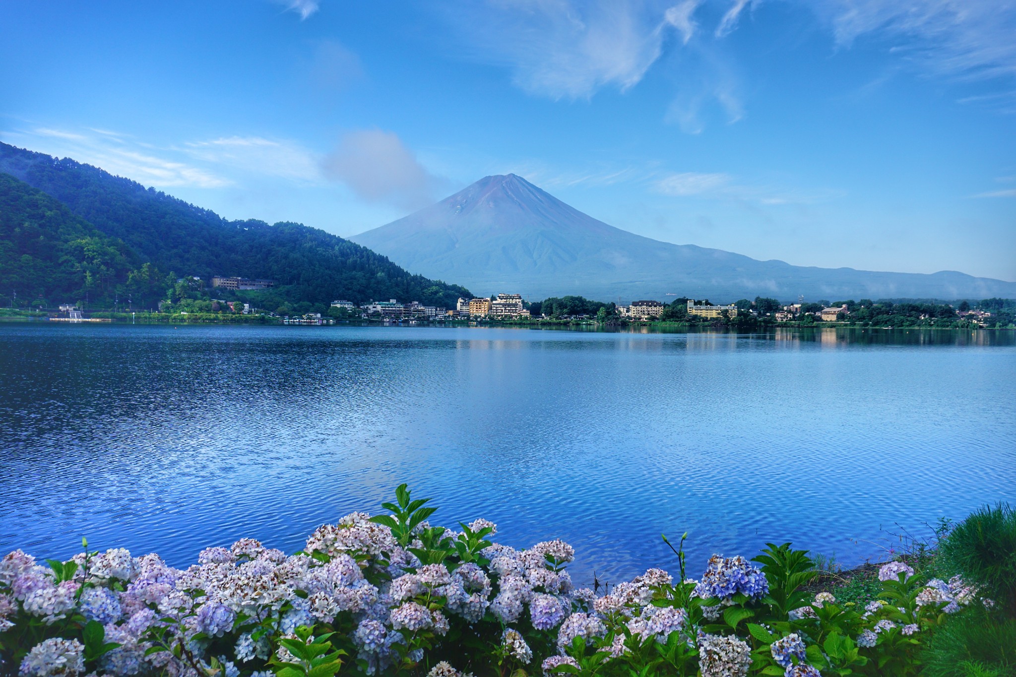 神奈川新闻花火大会游记