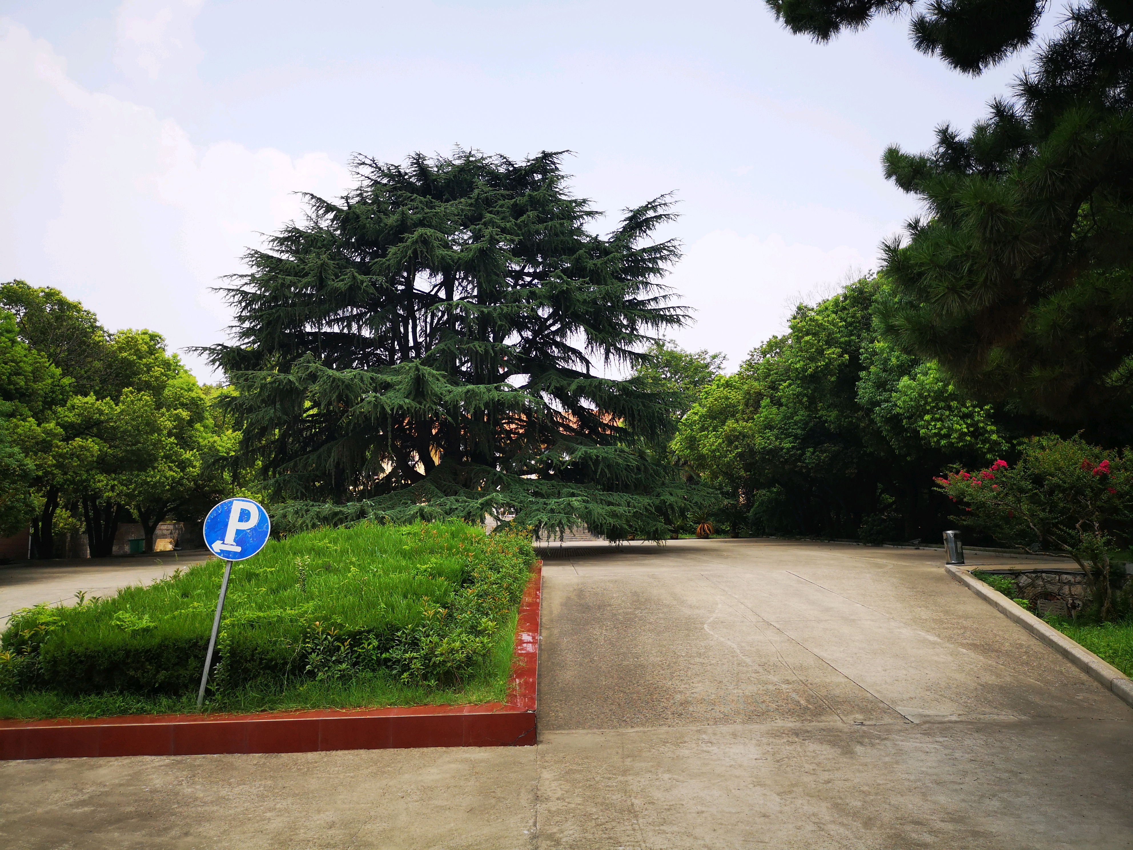 九号香樟园酒店餐厅