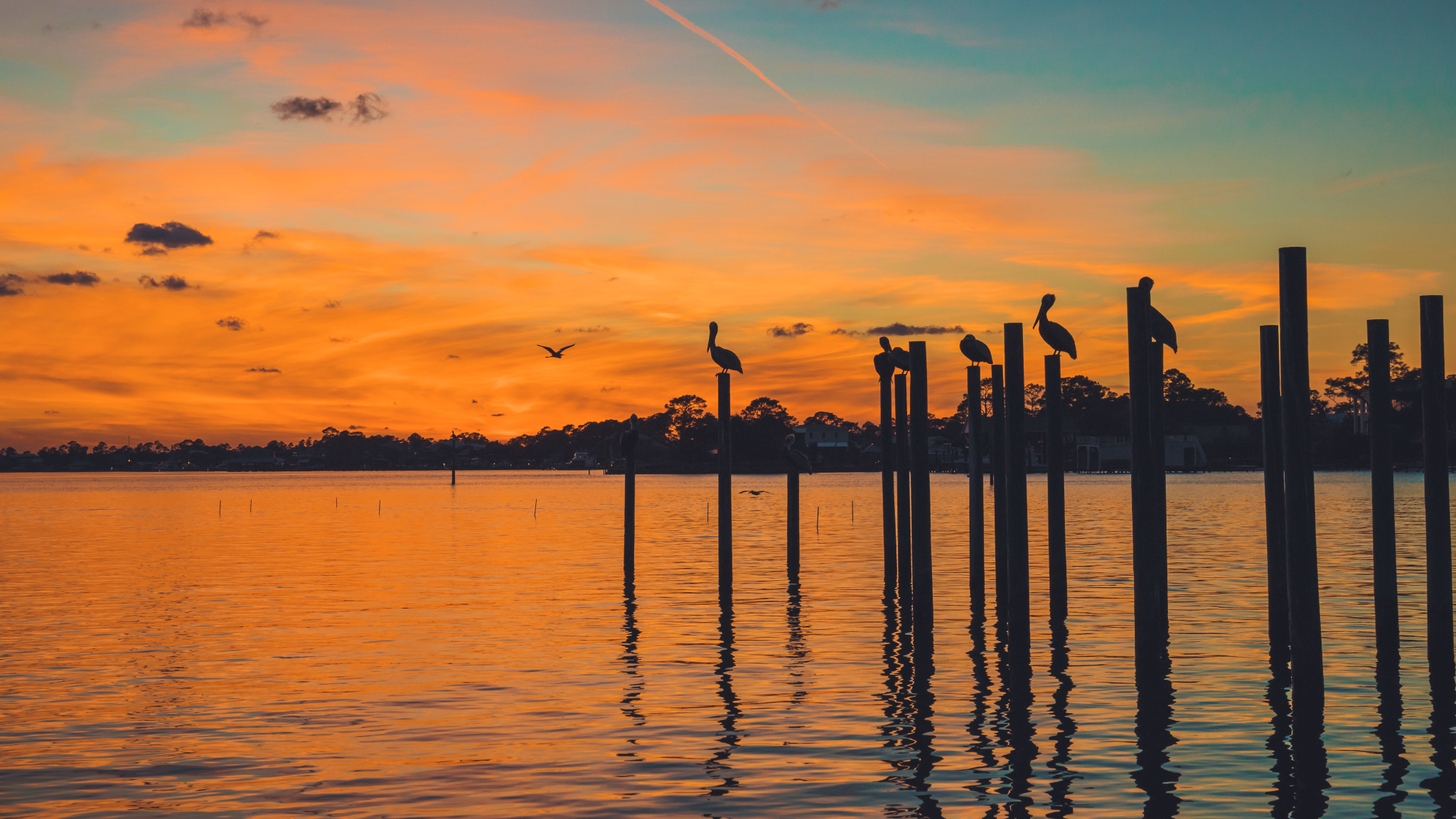 凤凰古城到亚拉巴马州旅游