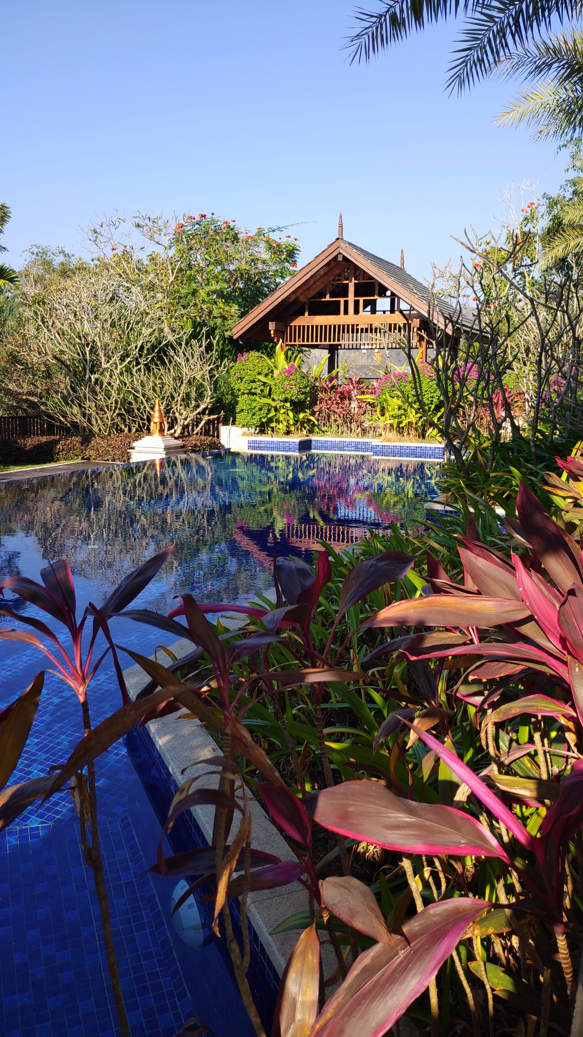 春节建水版纳休闲游