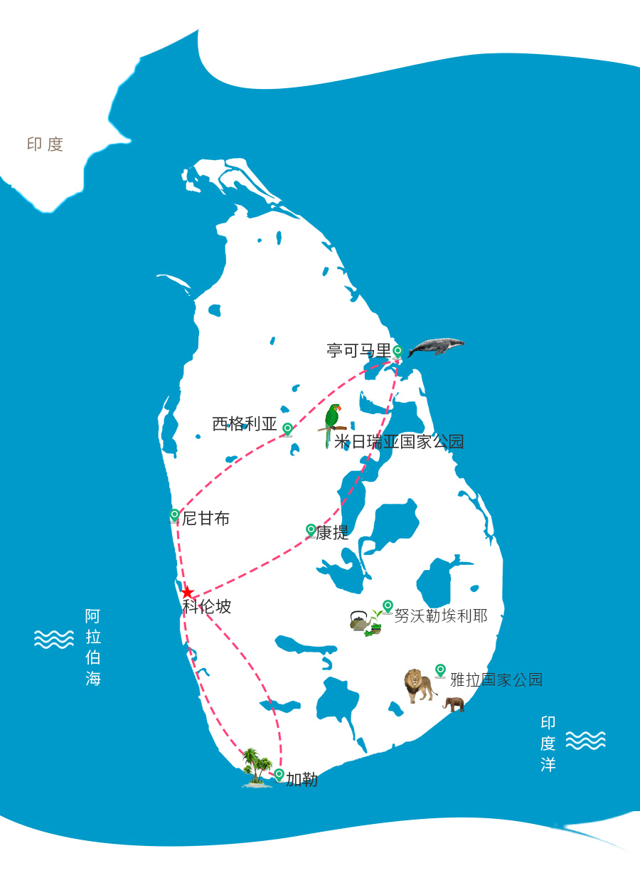 斯里兰卡亭可马里观鲸游猎8天自然文化体验之旅亭可马里观鲸打卡千与