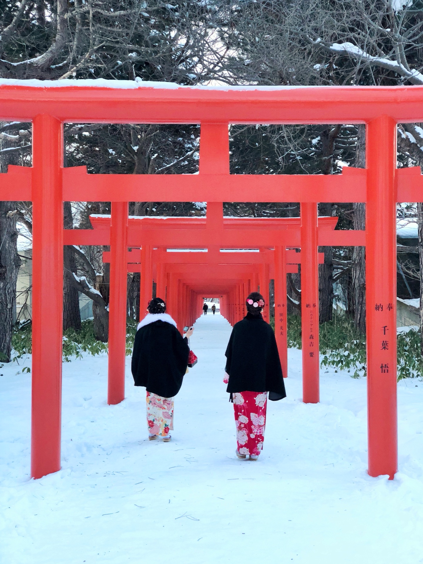 札幌自助遊攻略