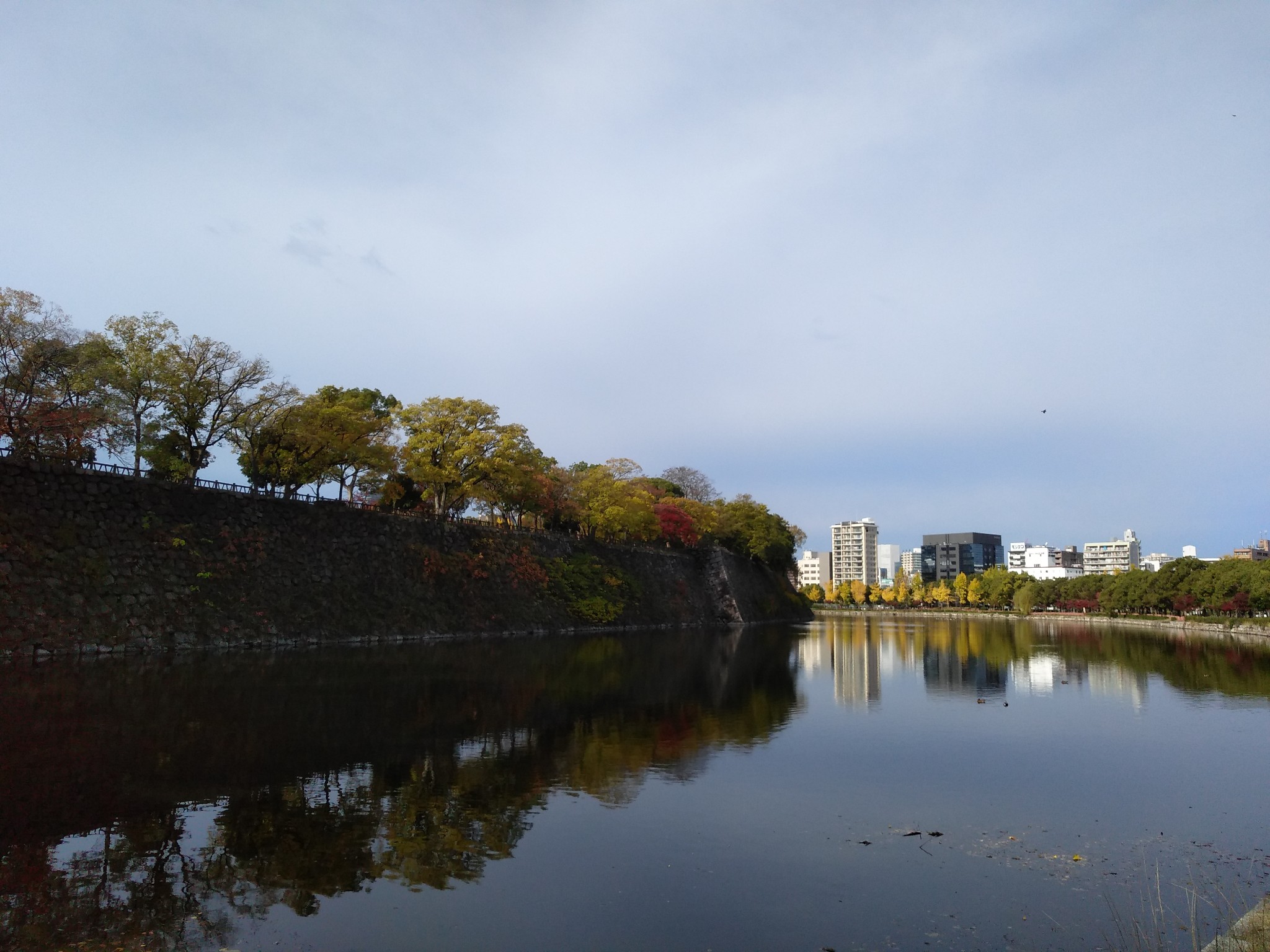 京都自助遊攻略