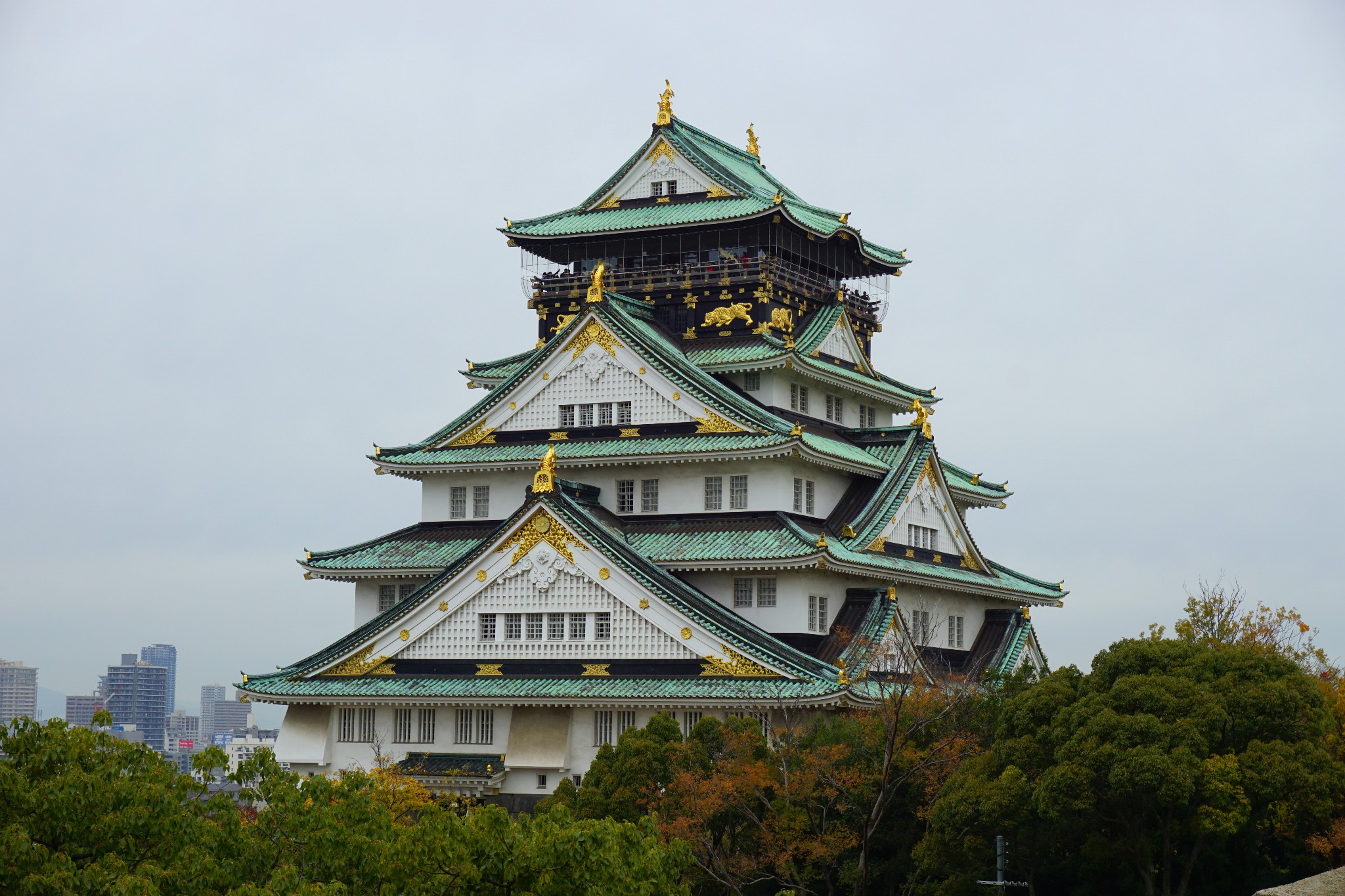 京都自助遊攻略