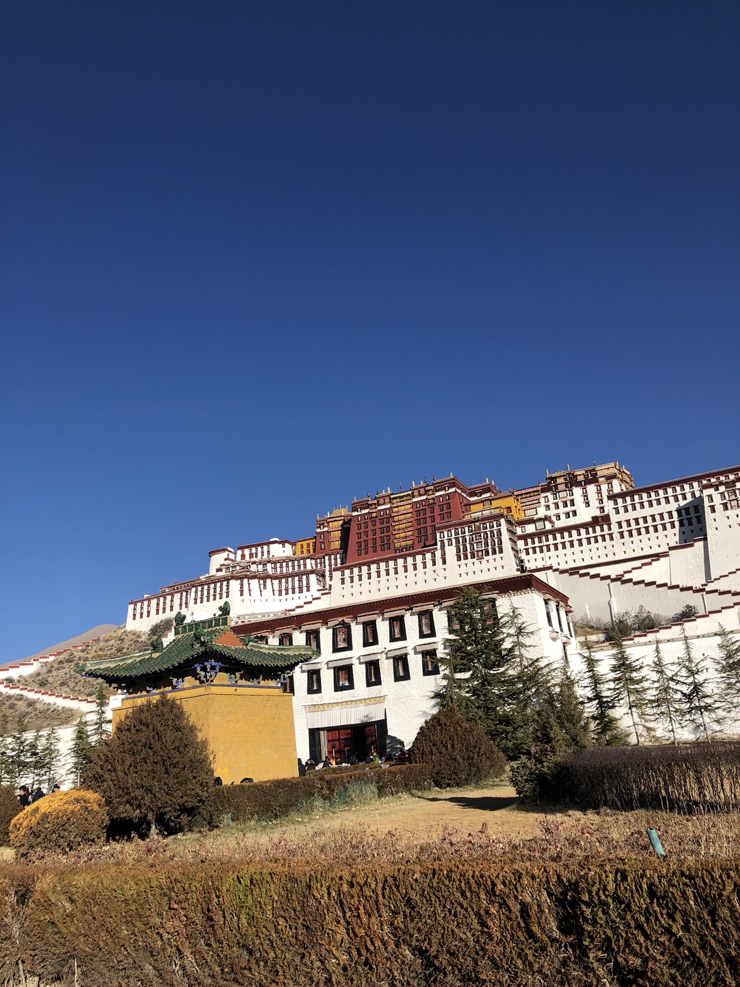 关于柳州自驾路到布达拉宫线攻略的信息