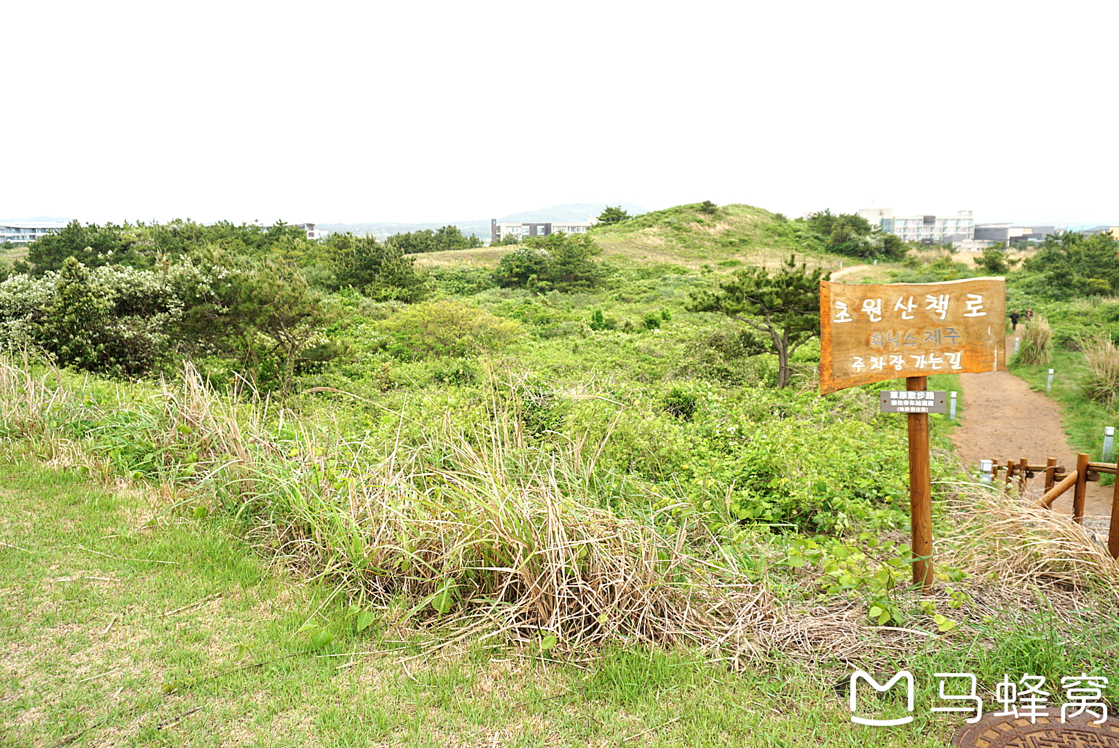 濟州島自助遊攻略